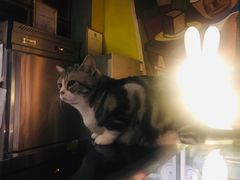 -咖法森林·咖啡  酒吧(天河店)