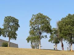 -盘龙城遗址博物院