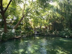-老济南·地道济南菜(大明湖店)