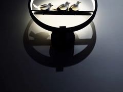 -胡仁根胡记炸炸炸