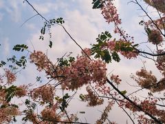 -白石龙音乐公园