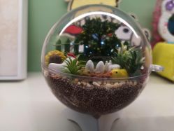 -宝贝渡口儿童游乐园(华南安盛店)