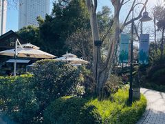 -静安公园(静安寺街道)
