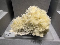 -贵州省地质博物馆