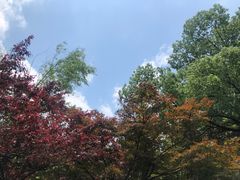 -岳麓山风景名胜区