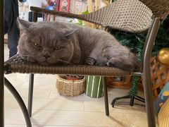 -Rabbit Cafe私房西餐甜点咖啡(栖霞路店)