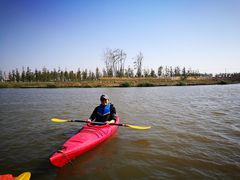 -春花秋色城市公园