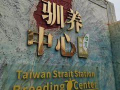 -广东惠东海龟国家级自然保护区