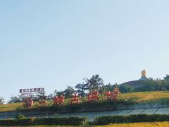 -三峡古玩城(泰古广场店)