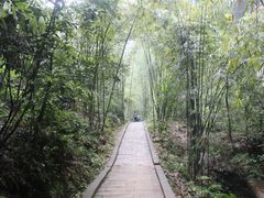 -沐川竹海旅游景区