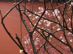 -乌山风景区