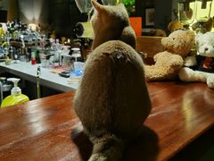 -咖法森林·咖啡  酒吧(天河店)