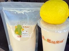 -猫的魔法密林(衣裳街店)