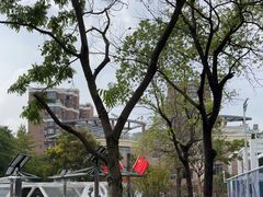-白金海岸幼儿园总园
