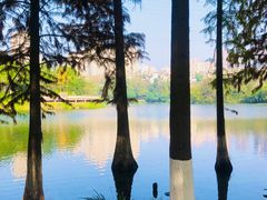 -重庆彩云湖湿地公园