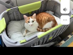 -宠福鑫动物医院(望京分院)