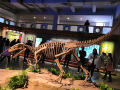 -自贡恐龙博物馆