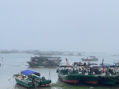 -东海岛旅游度假区