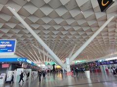 -郑州新郑国际机场-T2航站楼