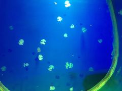 -白鹿仓冰雪海洋世界