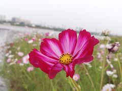 -山西体育中心红灯笼体育场