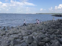 -上海吴淞炮台湾国家湿地公园