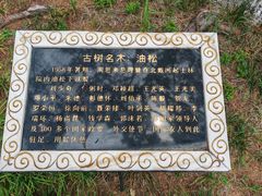-起士林西餐厅(东经路店)
