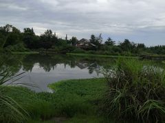 -桤木河湿地公园