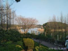 -上海市保健医疗中心(华东疗养院)