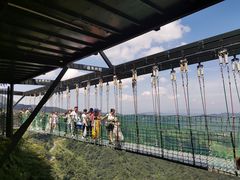 -梦幻奥陶纪景区