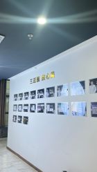 -洁铭新加坡医美