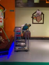 -未来动物城动物主题公园(大悦城店)