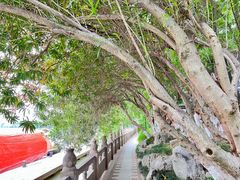 -南通濠河风景名胜区