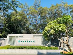 -王借岗森林公园