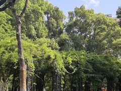 -月湖风景区