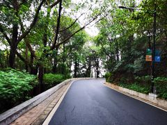 -广州市白云山风景名胜区