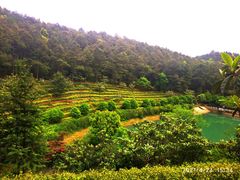 -九龙潭景区
