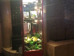 -温莎KTV(珠江路店)