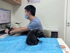 -达爱动物医院·犬猫分区·CT·复杂眼科(远洋山水分院)