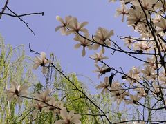 -木塔寺遗址生态公园