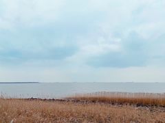 -江滩湿地公园