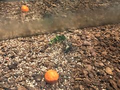 -上海昆虫博物馆