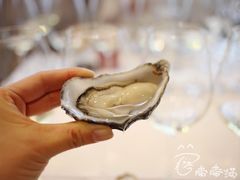 -Oyster Talks 四度蚝法餐厅