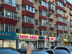 -青奢宠物·青奢猫舍