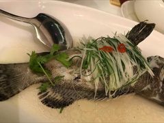 清蒸东星斑-东海海鲜酒家(中信广场店)