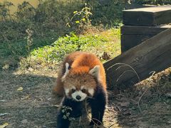 -无锡动物园·太湖欢乐园