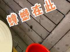 -兔槽江湖菜·重庆璧山兔(水围店)