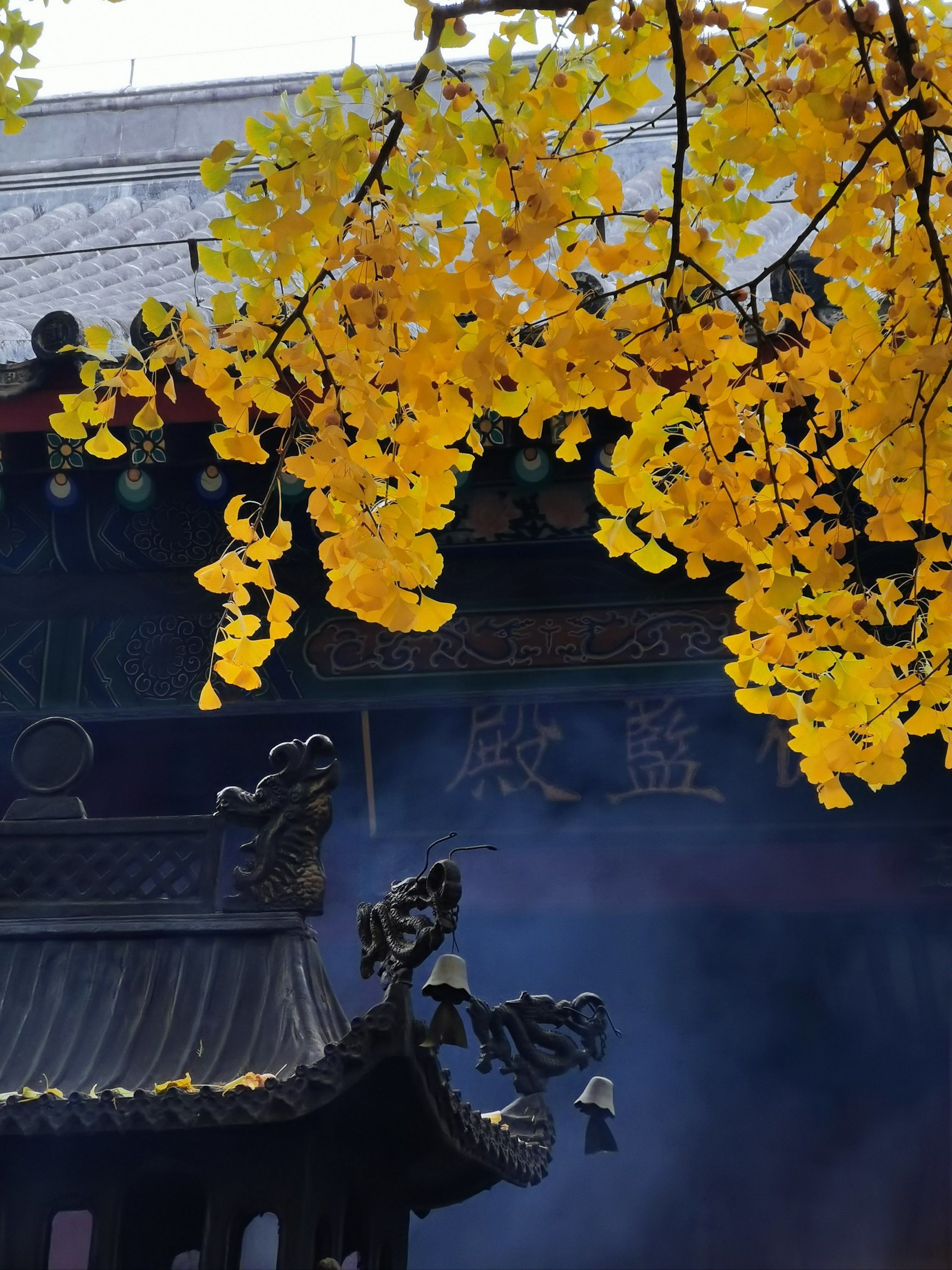 寺庙的神秘韵味,秋之红螺