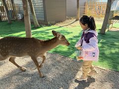 -滆湖低碳生态公园