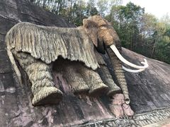 -哈尔滨北方森林动物园